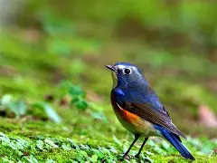 开云最新网址-?7s6`?磬E訤?FT欷矚轃鯁暐^溵?j"D鸲胓痈G脧??Ｒ